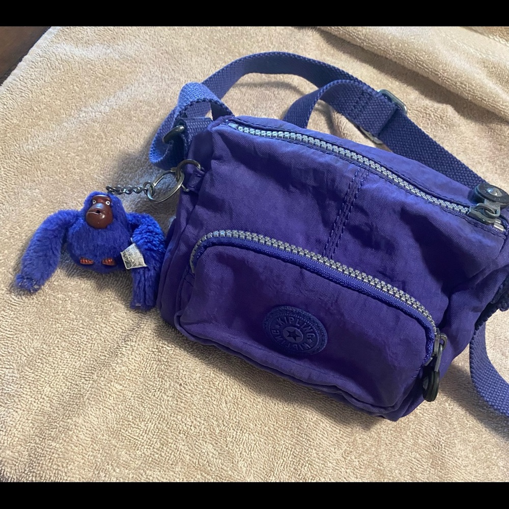 Kipling Bag - Picture 3 of 3